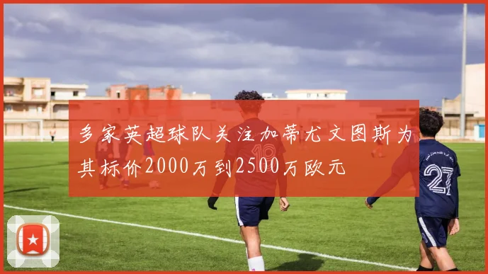多家英超球队关注加蒂尤文图斯为其标价2000万到2500万欧元